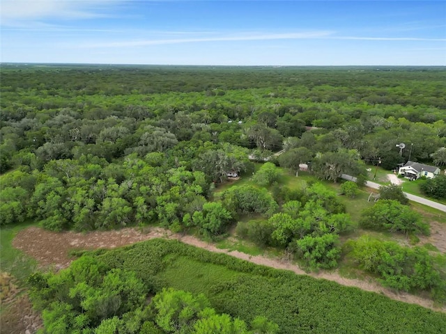 6389 Javelina Creek Dr, Robstown, TX 78380