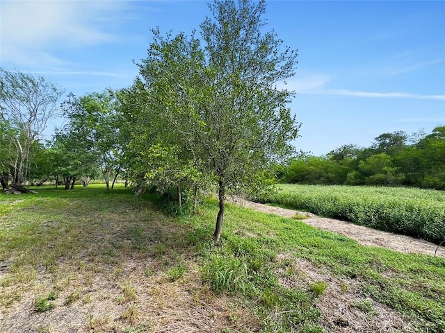 6389 Javelina Creek Dr, Robstown, TX 78380