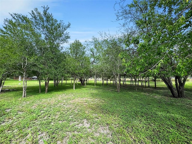 6389 Javelina Creek Dr, Robstown, TX 78380