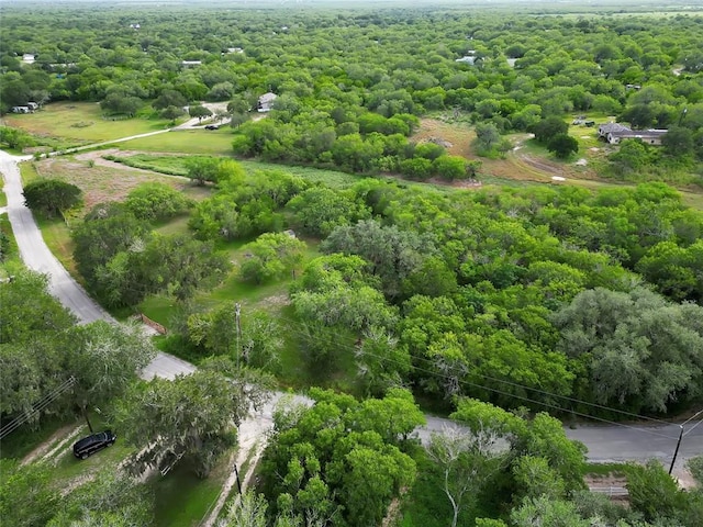 6389 Javelina Creek Dr, Robstown, TX 78380
