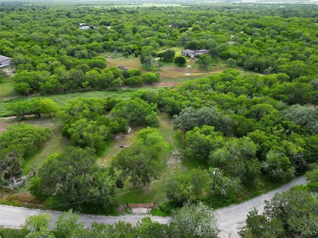 6389 Javelina Creek Dr, Robstown, TX 78380