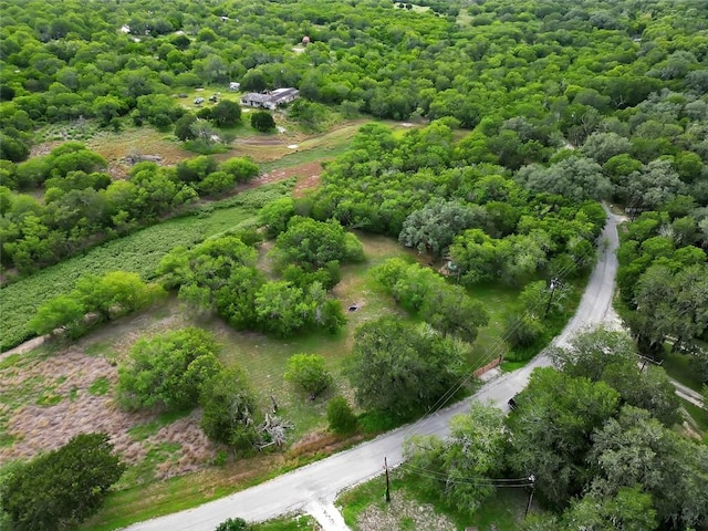 6389 Javelina Creek Dr, Robstown, TX 78380