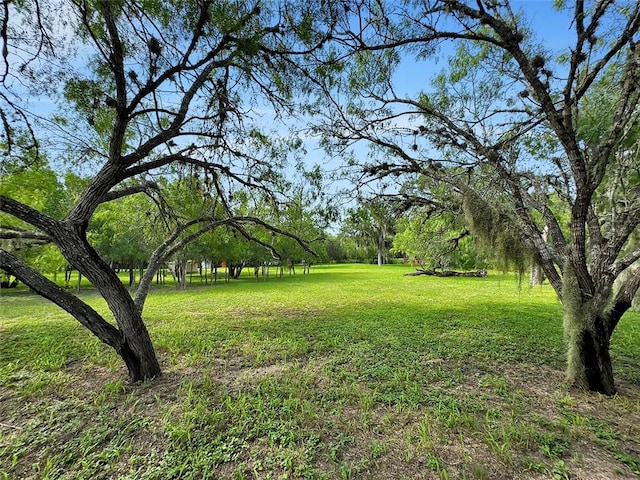 6389 Javelina Creek Dr, Robstown, TX 78380