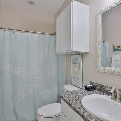 bathroom featuring toilet, a shower with curtain, and vanity