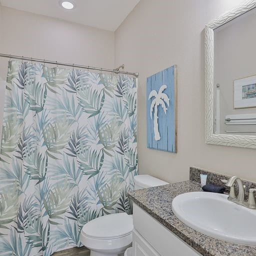 bathroom with toilet, a shower with curtain, and vanity