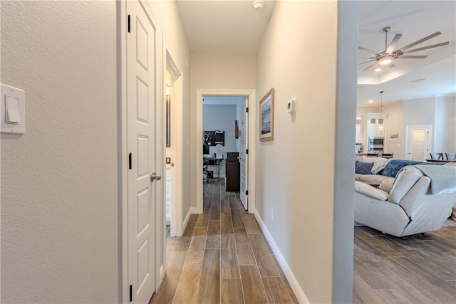 corridor featuring a tray ceiling