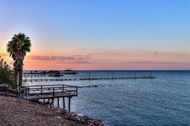 dock area with a water view