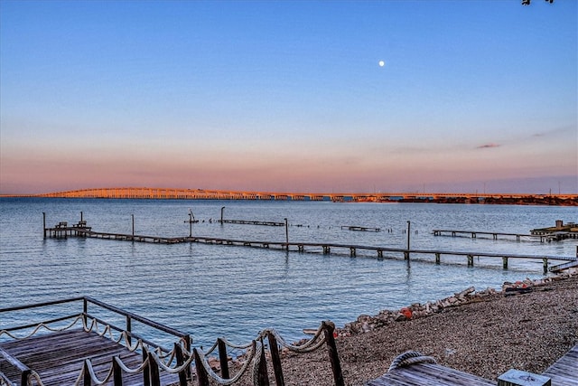 dock area with a water view