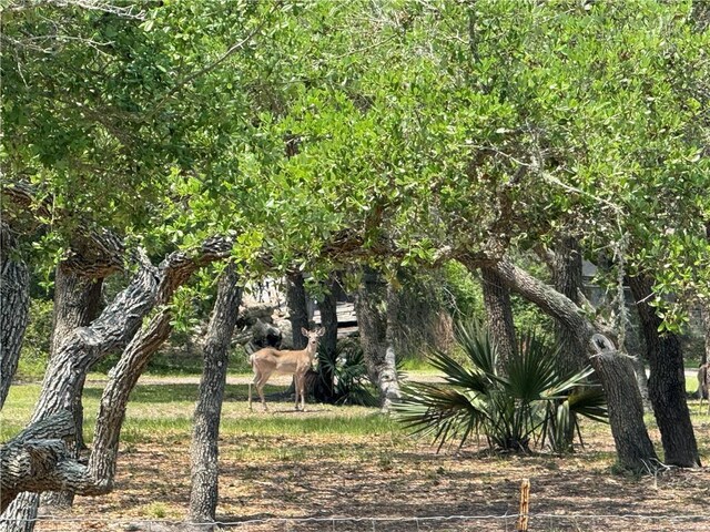 1431 W 12th St, Rockport, TX 78382 - photo 37