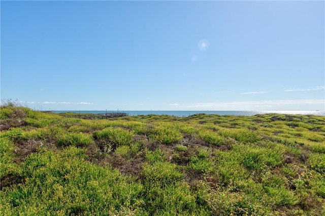 view of local wilderness with a nearby body of water