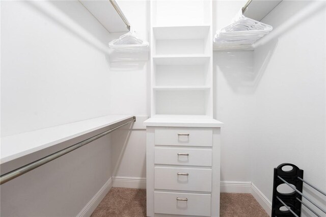 walk in closet featuring light colored carpet