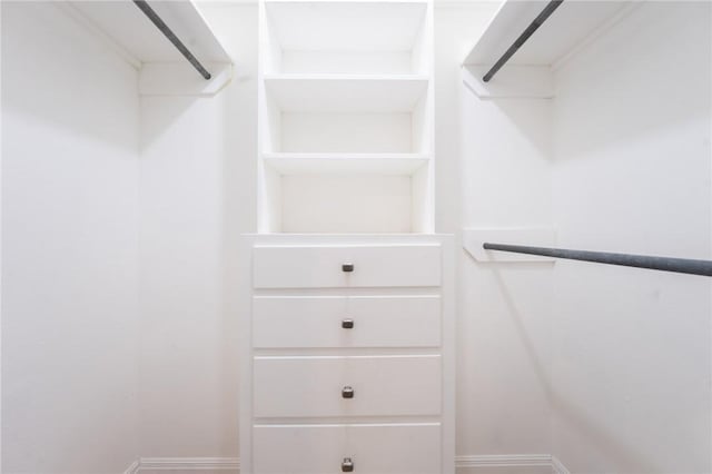 view of spacious closet
