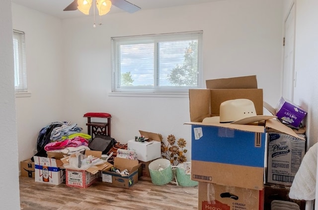 storage area featuring ceiling fan