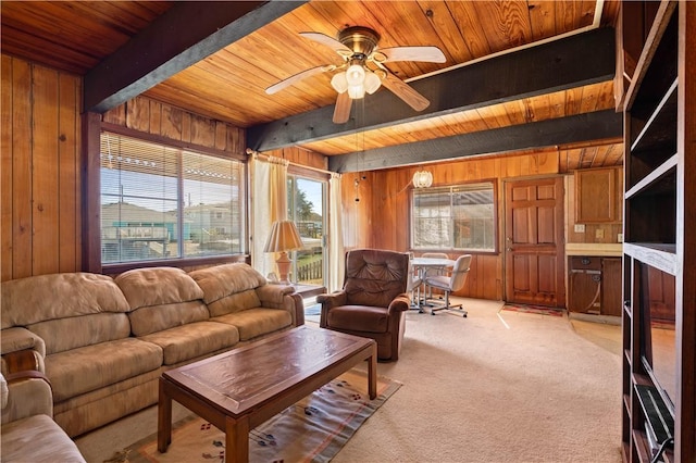 carpeted living room featuring beam ceiling, wood ceiling, ceiling fan, and wood walls