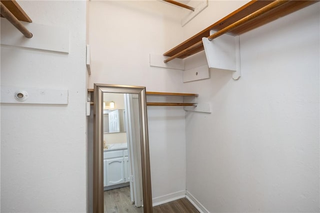 spacious closet featuring wood-type flooring