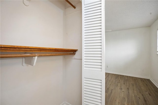 spacious closet featuring wood-type flooring