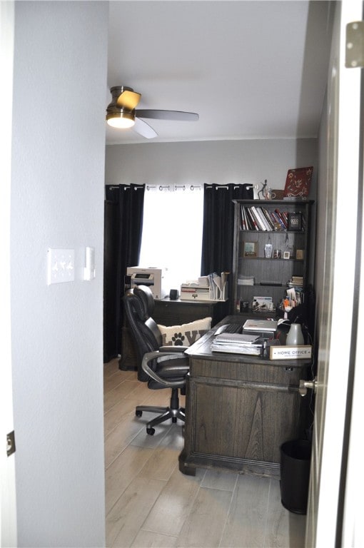 office with ceiling fan and light hardwood / wood-style flooring