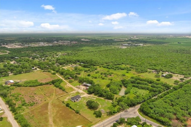 drone / aerial view