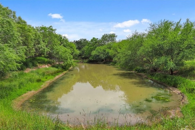 water view featuring a heavily wooded area