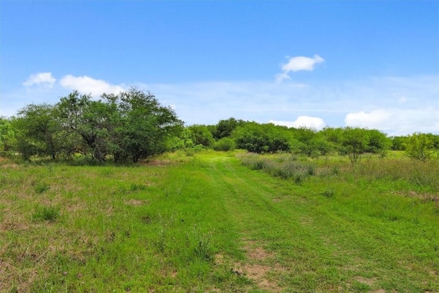 view of local wilderness