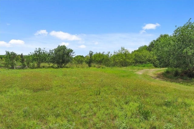 view of woods