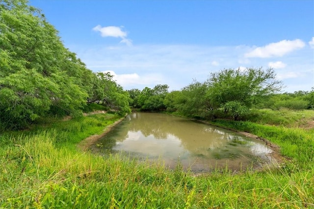 water view with a heavily wooded area