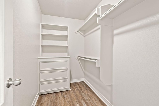 1201 Cline St, Corpus Christi, TX 78418 - spacious closet with wood finished floors