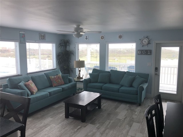 living room featuring ceiling fan and dark wood-type flooring