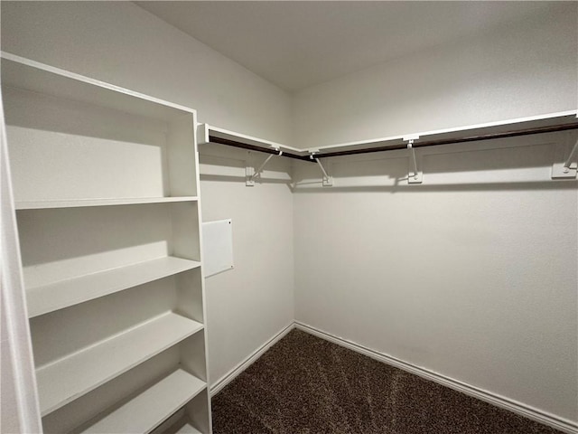 1509 Pleasant Dr, Corpus Christi, TX 78418 - photo 22