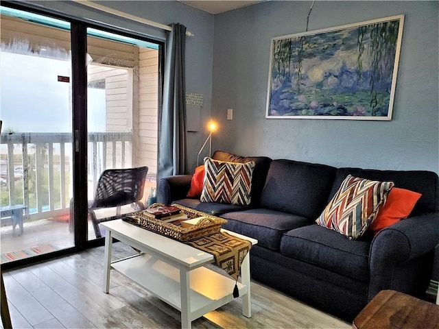 living room featuring hardwood / wood-style flooring