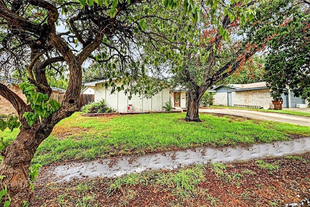 2114 Colorado St, Kingsville, TX 78363 - photo 39