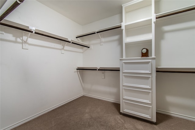 walk in closet with dark colored carpet