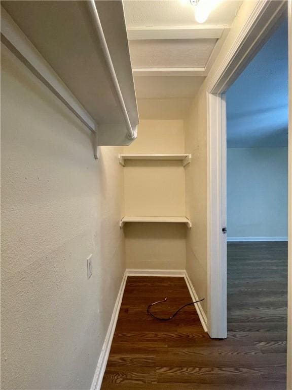 spacious closet with dark hardwood / wood-style floors