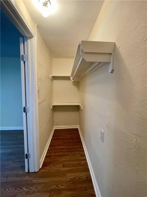 walk in closet with dark wood-type flooring