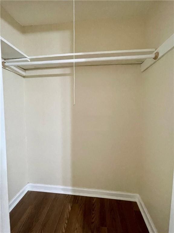 walk in closet featuring dark hardwood / wood-style floors