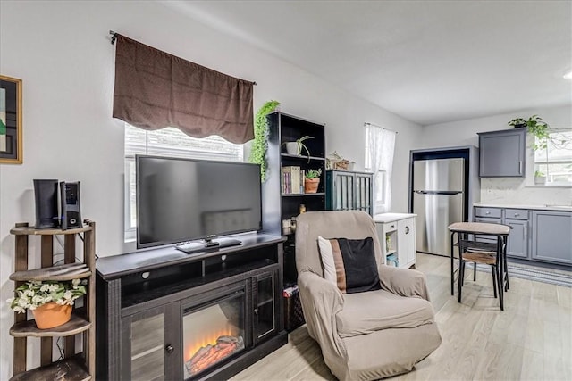 living room with light hardwood / wood-style floors and a healthy amount of sunlight