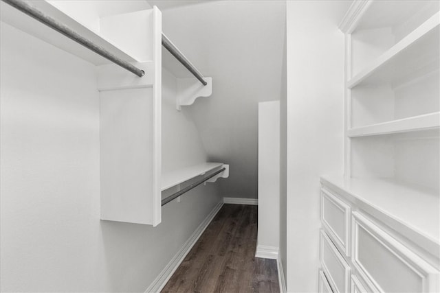 spacious closet featuring dark hardwood / wood-style flooring