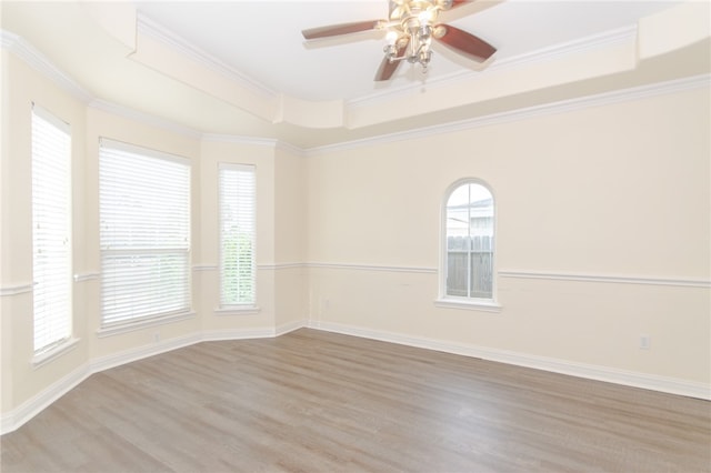 spare room featuring a raised ceiling, light hardwood / wood-style flooring, and ornamental molding