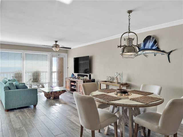 dining space with hardwood / wood-style floors, ceiling fan, and crown molding