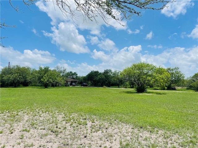 5742 Hidden Valley Loop, Sandia, TX 78383 - view of green lawn