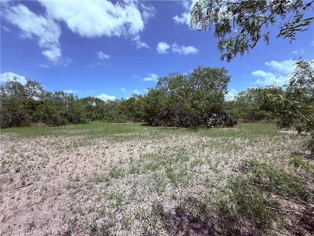 5742 Hidden Valley Loop, Sandia, TX 78383 - view of woods