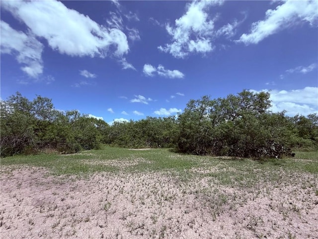5742 Hidden Valley Loop, Sandia, TX 78383 - view of woods