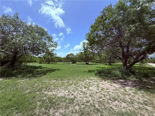 5742 Hidden Valley Loop, Sandia, TX 78383 - view of green lawn