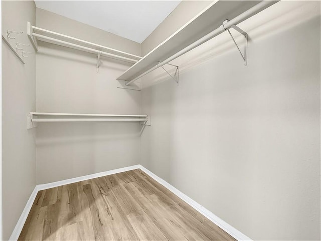 spacious closet featuring light wood-style flooring