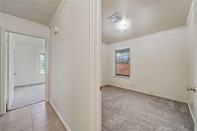 917 Brock Dr, Corpus Christi, TX 78412 - photo 22