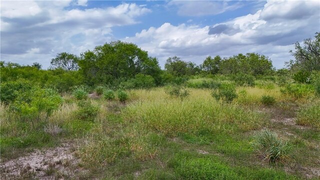 1297 County Road 336, Alice, TX 78332 - photo 36