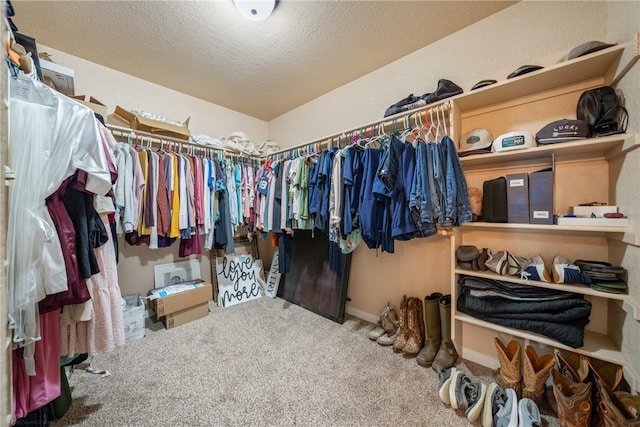 spacious closet with carpet