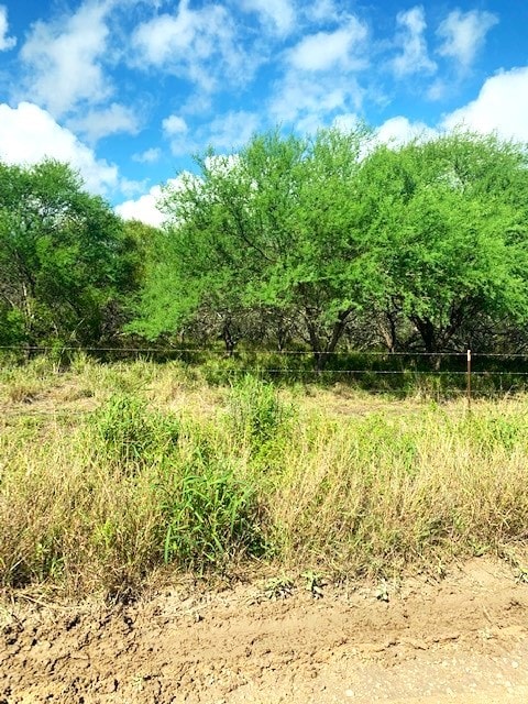 287 County Road 450th Cir, Alice, TX 78332 - photo 33