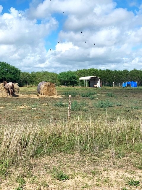287 County Road 450th Cir, Alice, TX 78332 - photo 23