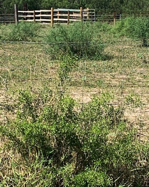 287 County Road 450th Cir, Alice, TX 78332 - photo 34